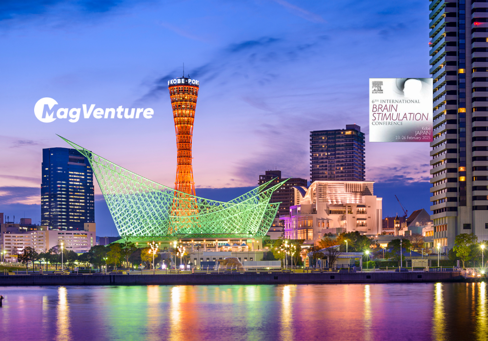 International Brain Stimulation